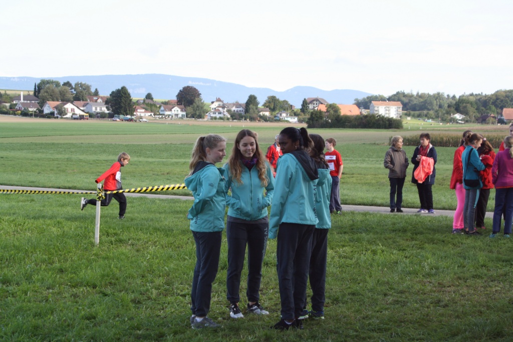 Bild 1 (48)